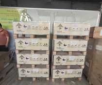 Pin lưu trữ Livoltek